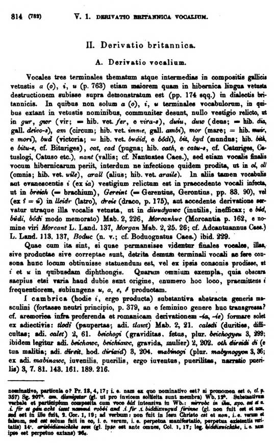 F9477_grammatica_celtica_zeuss_1871_0814.jpg