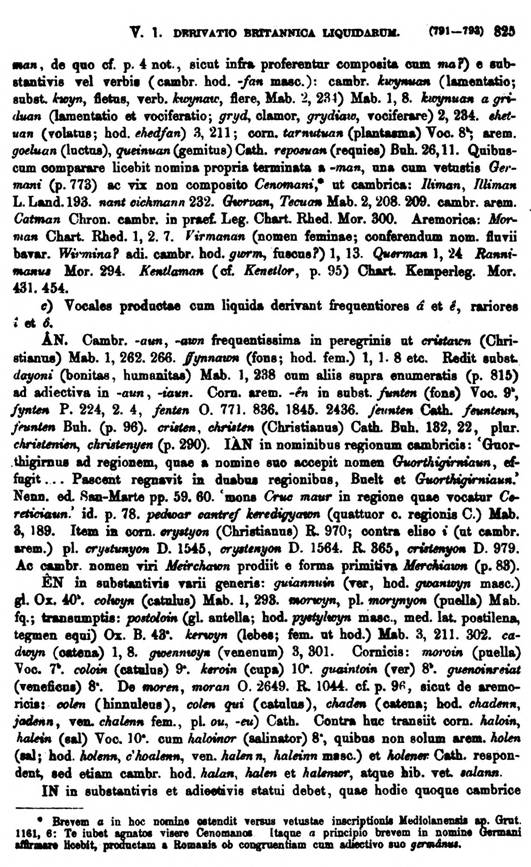 F9488_grammatica_celtica_zeuss_1871_0825.jpg