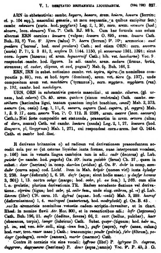 F9490_grammatica_celtica_zeuss_1871_0827.jpg