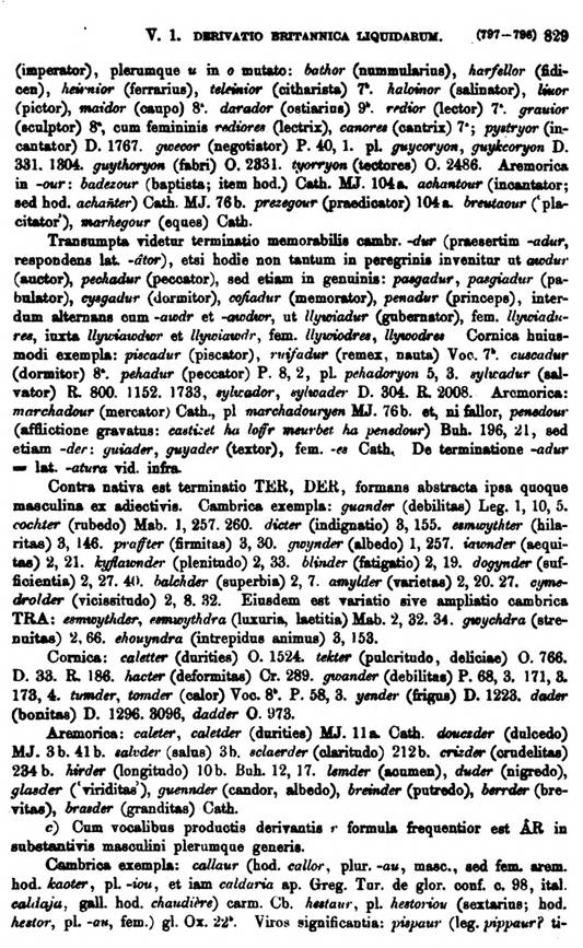 F9492_grammatica_celtica_zeuss_1871_0829.jpg