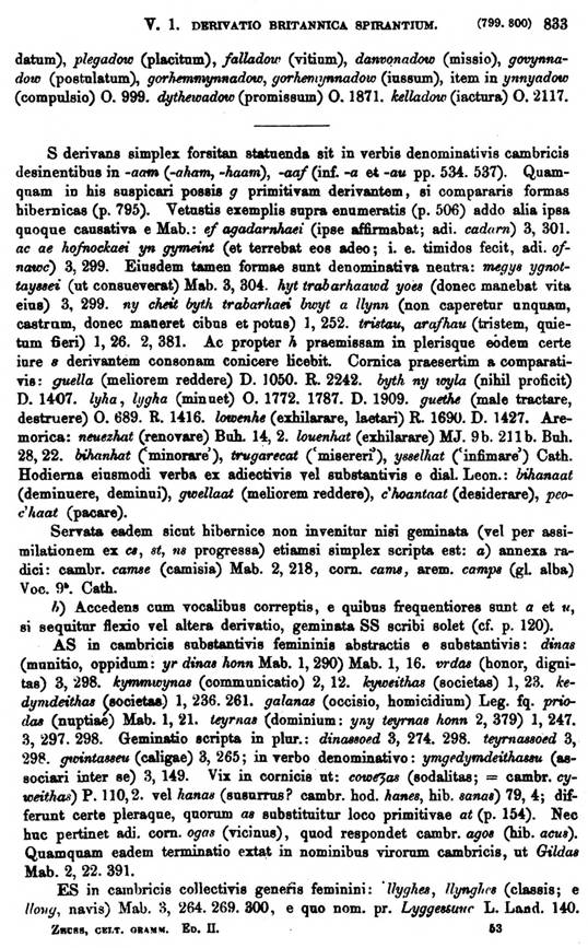 F9496_grammatica_celtica_zeuss_1871_0833.jpg