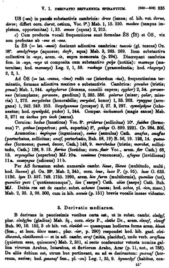 F9498_grammatica_celtica_zeuss_1871_0835.jpg