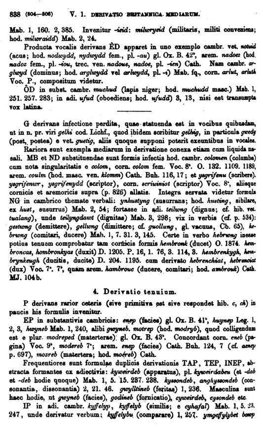 F9501_grammatica_celtica_zeuss_1871_0838.jpg