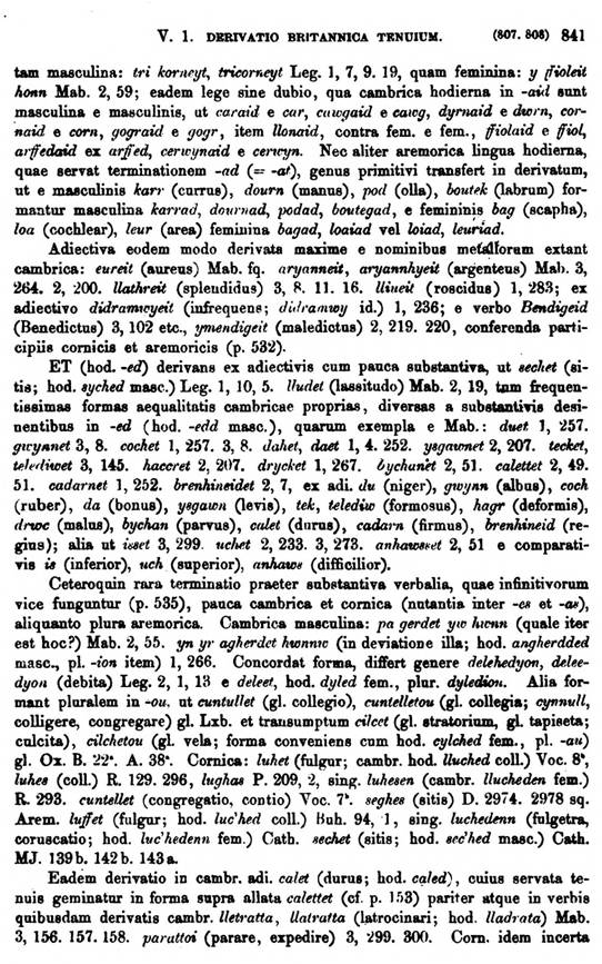 F9504_grammatica_celtica_zeuss_1871_0841.jpg