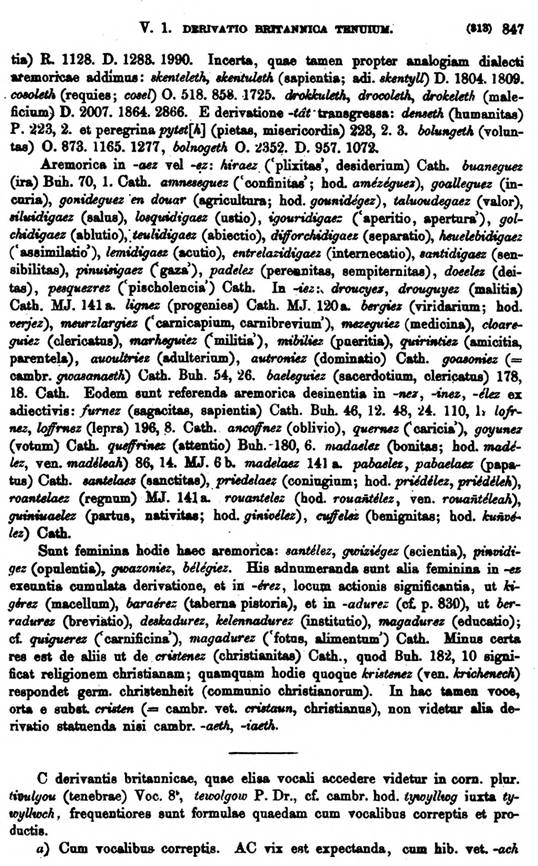 F9510_grammatica_celtica_zeuss_1871_0847.jpg