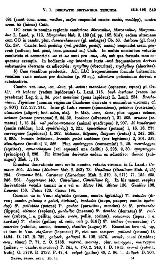 F9512_grammatica_celtica_zeuss_1871_0849.jpg