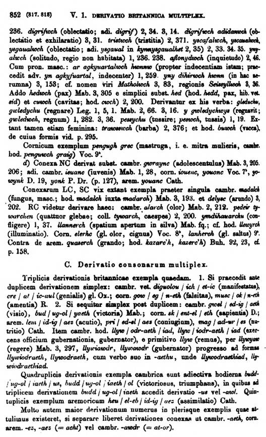 F9515_grammatica_celtica_zeuss_1871_0852.jpg