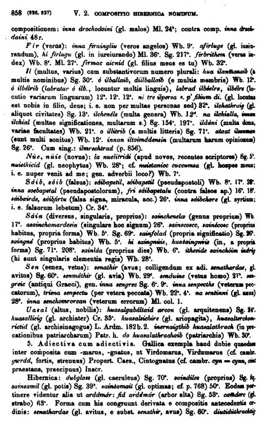 F9521_grammatica_celtica_zeuss_1871_0858.jpg