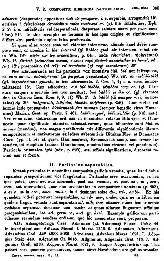 F9528_grammatica_celtica_zeuss_1871_0865.jpg