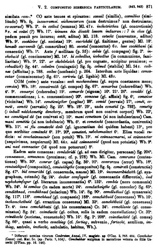 F9534_grammatica_celtica_zeuss_1871_0871.jpg