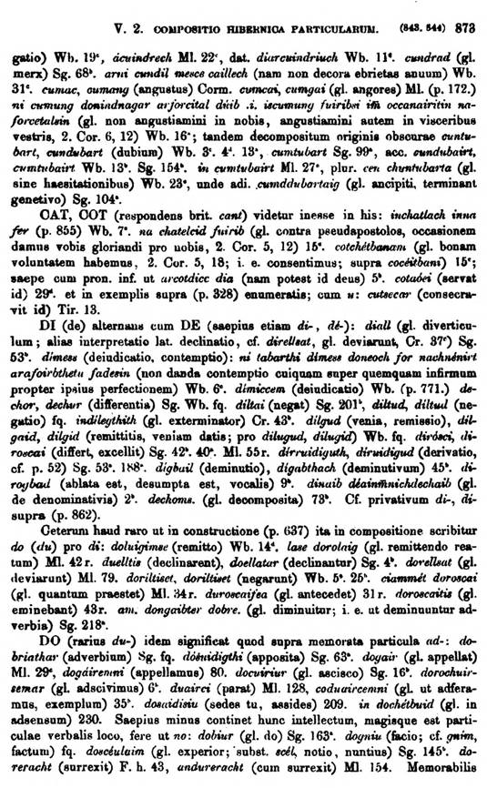 F9536_grammatica_celtica_zeuss_1871_0873.jpg