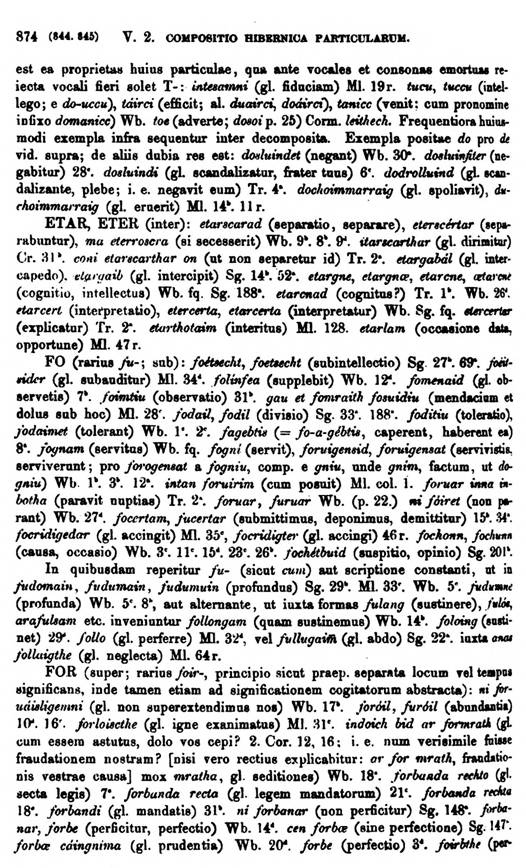 F9537_grammatica_celtica_zeuss_1871_0874.jpg