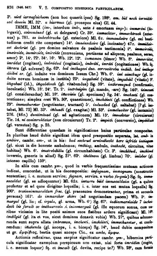 F9539_grammatica_celtica_zeuss_1871_0876.jpg