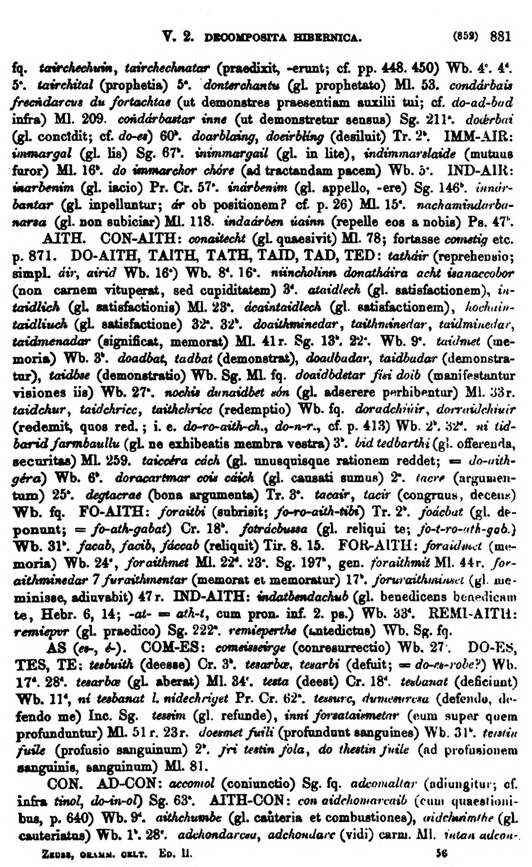 F9544_grammatica_celtica_zeuss_1871_0881.jpg