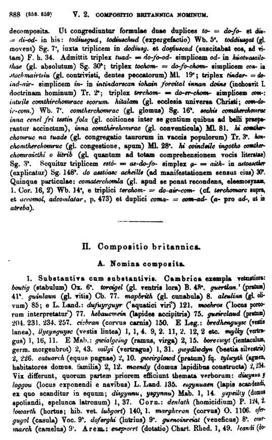 F9551_grammatica_celtica_zeuss_1871_0888.jpg