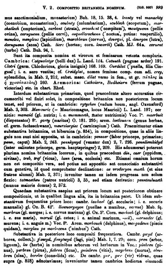 F9552_grammatica_celtica_zeuss_1871_0889.jpg