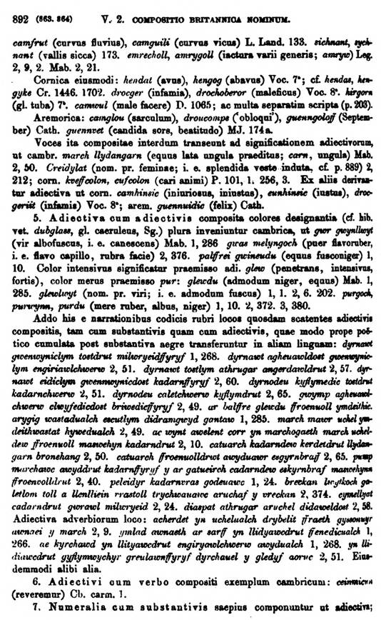 F9555_grammatica_celtica_zeuss_1871_0892.jpg