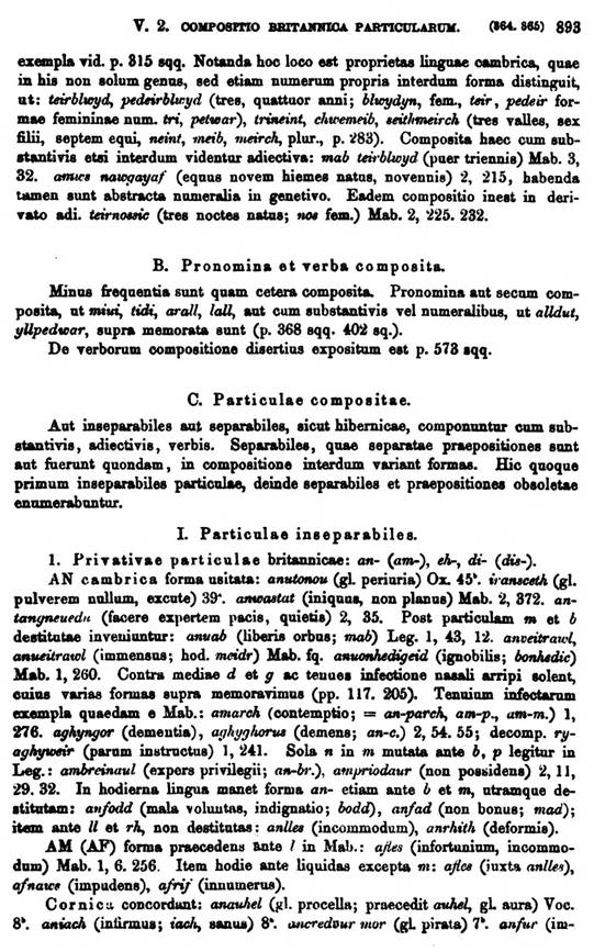 F9556_grammatica_celtica_zeuss_1871_0893.jpg