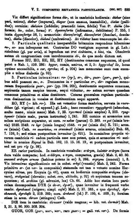 F9558_grammatica_celtica_zeuss_1871_0895.jpg