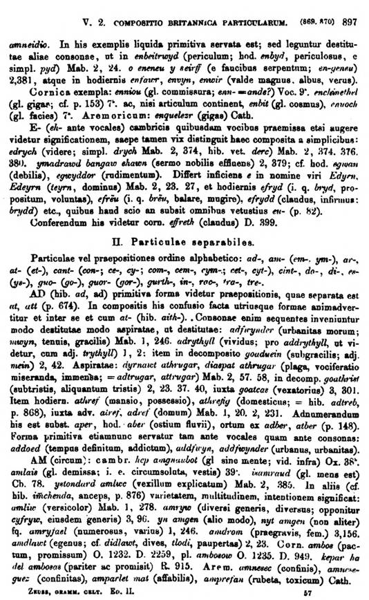 F9560_grammatica_celtica_zeuss_1871_0897.jpg