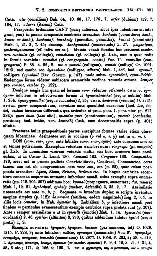 F9564_grammatica_celtica_zeuss_1871_0901.jpg