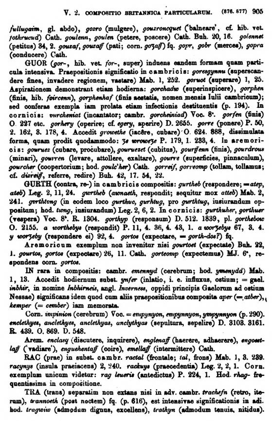 F9568_grammatica_celtica_zeuss_1871_0905.jpg