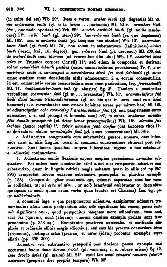 F9581_grammatica_celtica_zeuss_1871_0918.jpg