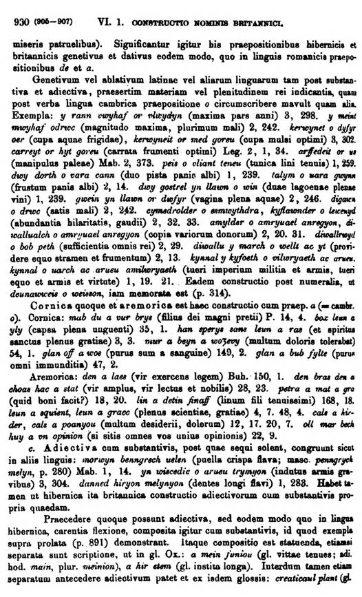 F9593_grammatica_celtica_zeuss_1871_0930.jpg