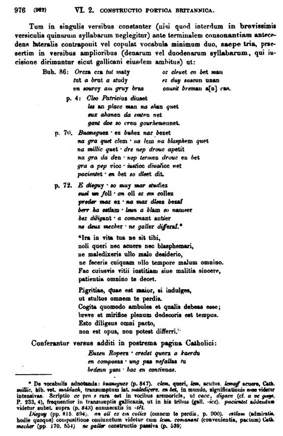 F9639_grammatica_celtica_zeuss_1871_0976.jpg