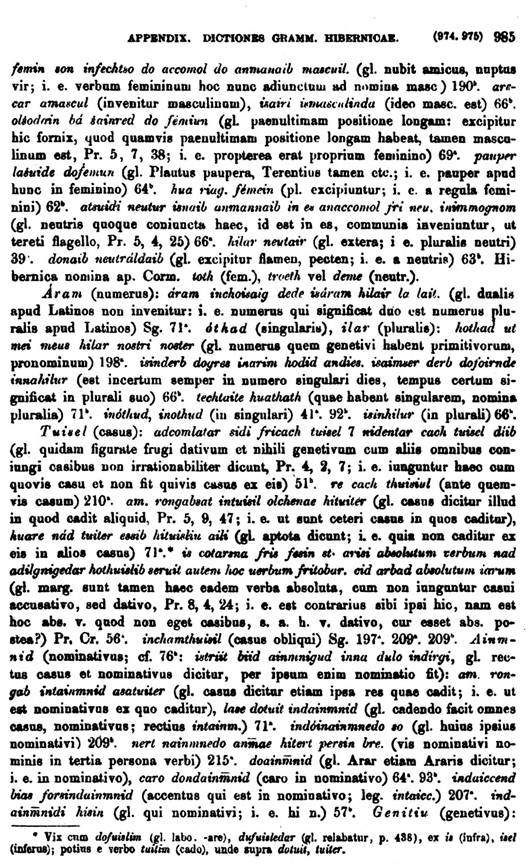 F9648_grammatica_celtica_zeuss_1871_0985.jpg