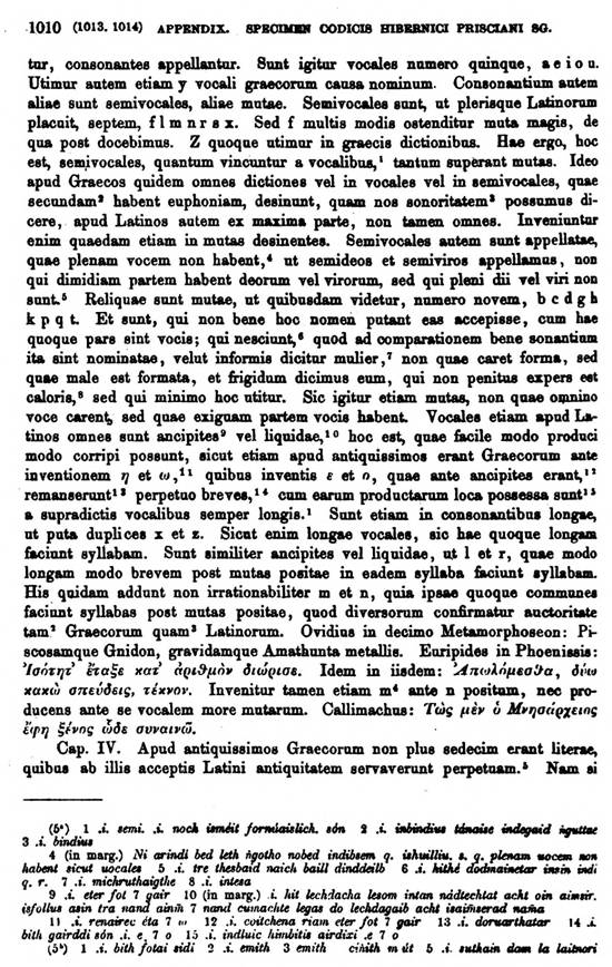 F9673_grammatica_celtica_zeuss_1871_1010.jpg