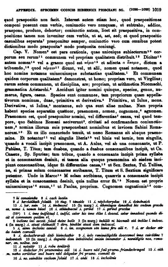 F9682_grammatica_celtica_zeuss_1871_1019.jpg