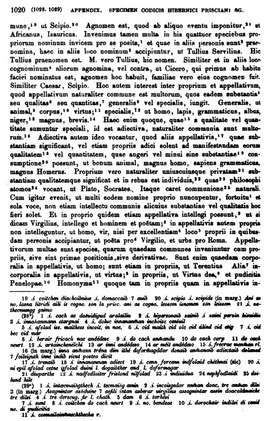 F9683_grammatica_celtica_zeuss_1871_1020.jpg