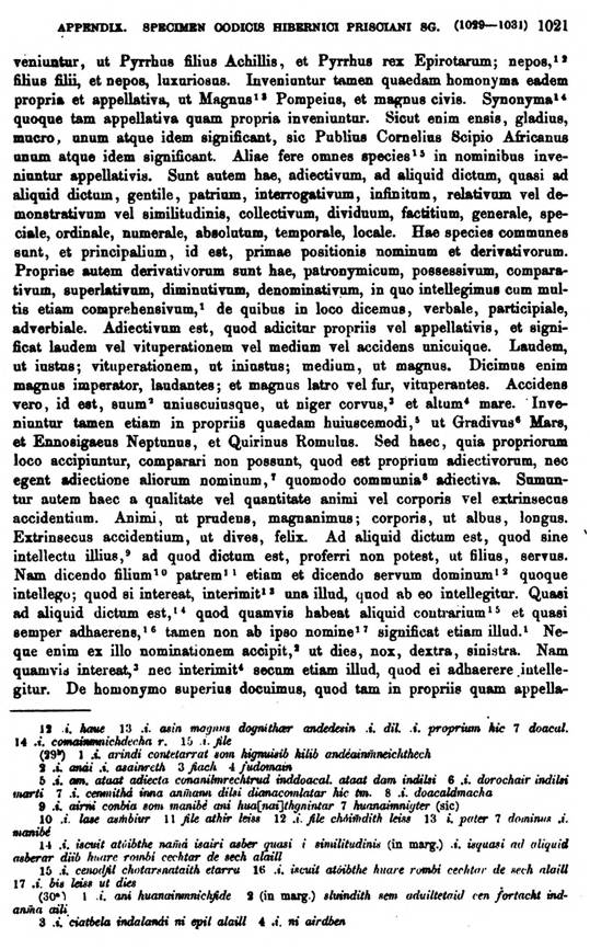 F9684_grammatica_celtica_zeuss_1871_1021.jpg