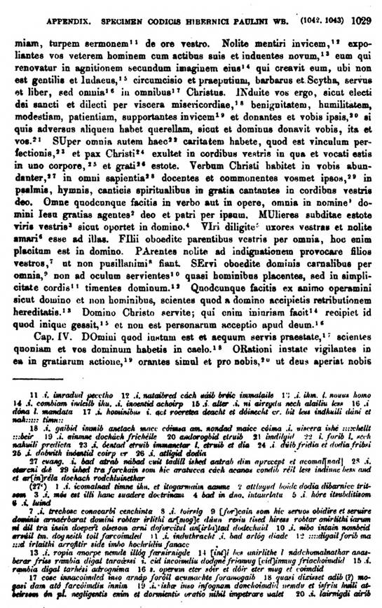 F9692_grammatica_celtica_zeuss_1871_1029.jpg