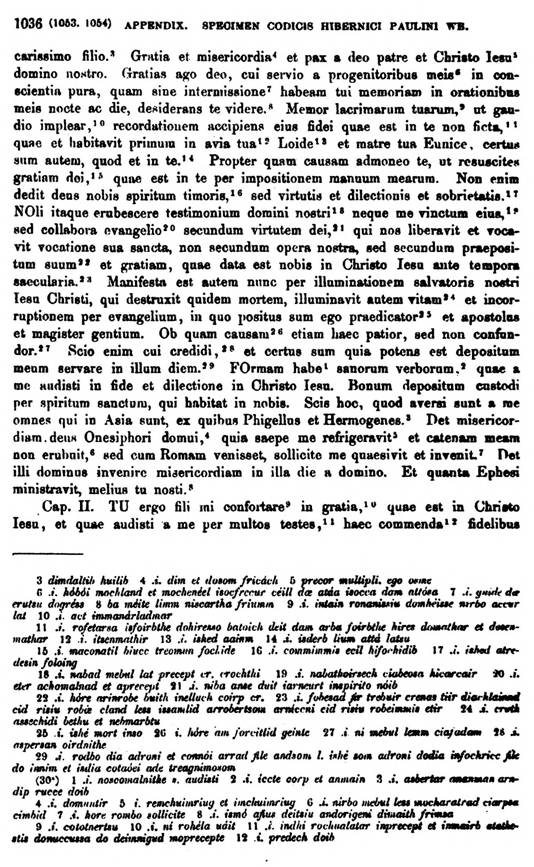 F9699_grammatica_celtica_zeuss_1871_1036.jpg