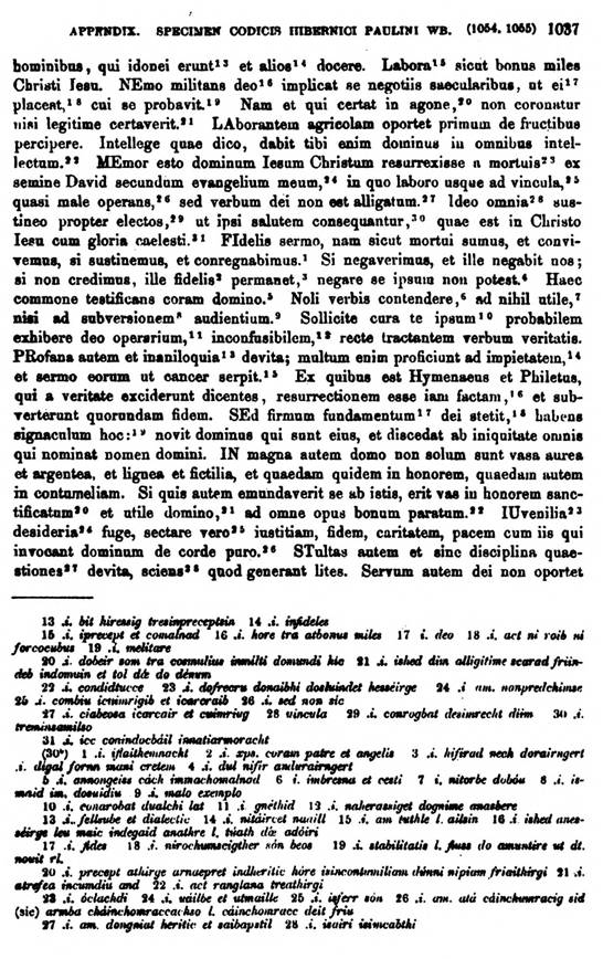 F9700_grammatica_celtica_zeuss_1871_1037.jpg