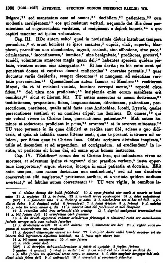 F9701_grammatica_celtica_zeuss_1871_1038.jpg