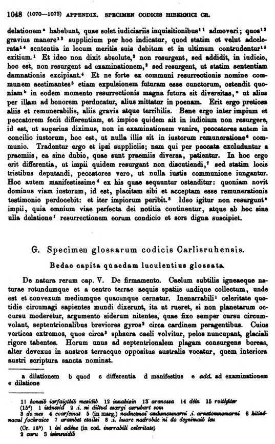 F9711_grammatica_celtica_zeuss_1871_1048.jpg