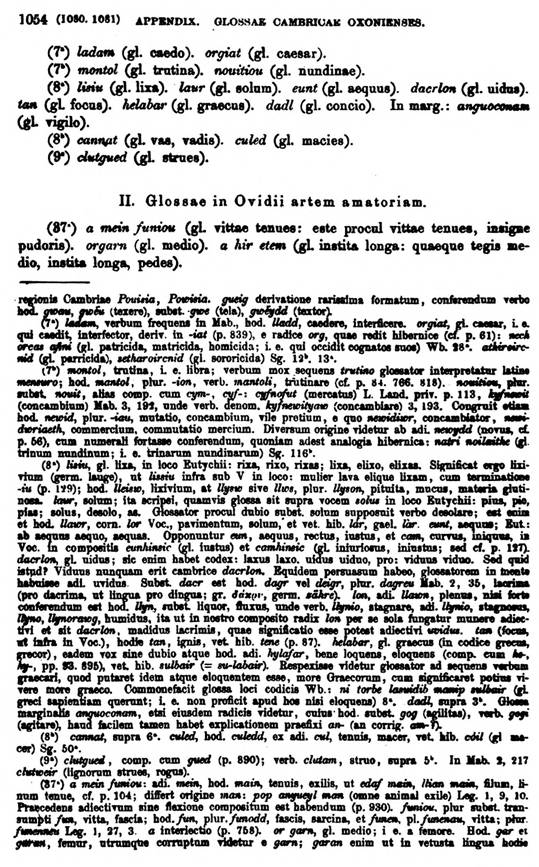 F9717_grammatica_celtica_zeuss_1871_1054.jpg