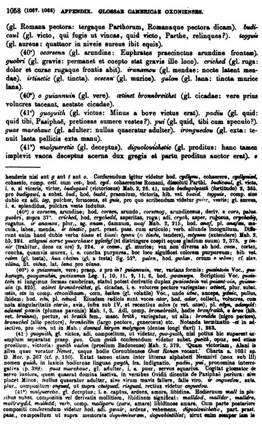 F9721_grammatica_celtica_zeuss_1871_1058.jpg