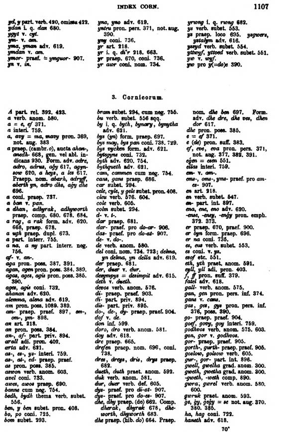 F9770_grammatica_celtica_zeuss_1871_1107.jpg