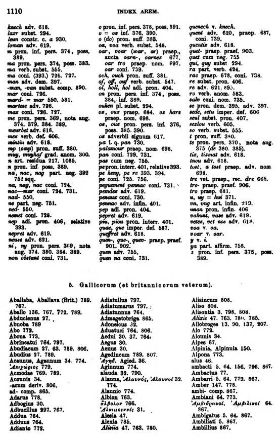 F9773_grammatica_celtica_zeuss_1871_1110.jpg