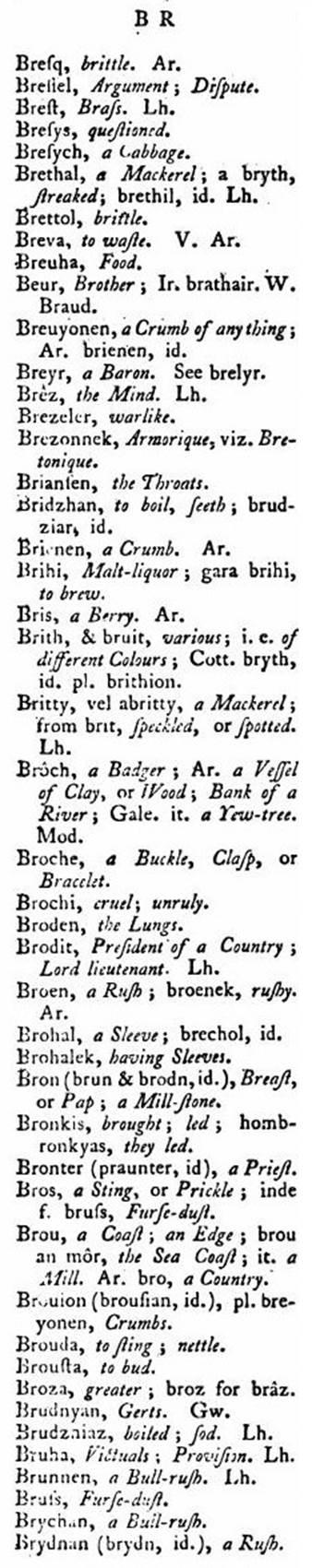 F4770_borlase_1769_antiquities-cornwall_vocabulary_420a.jpg