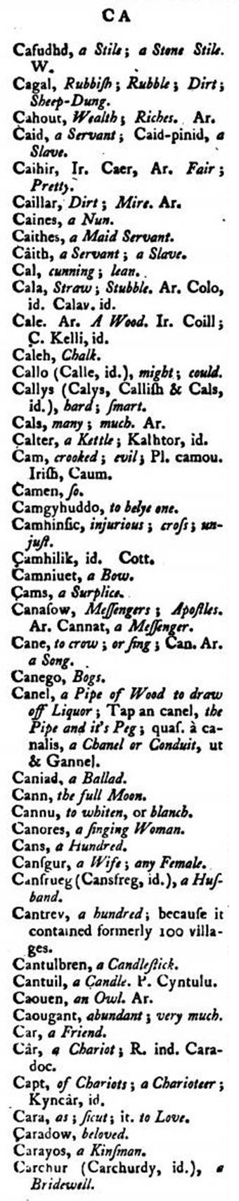 F4773_borlase_1769_antiquities-cornwall_vocabulary_421a.jpg