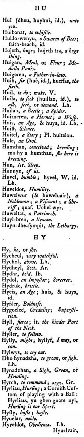 F4823_borlase_1769_antiquities-cornwall_vocabulary_437c.jpg