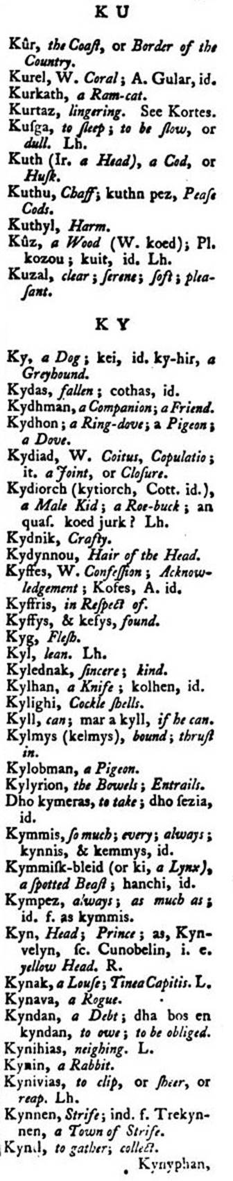 F4835_borlase_1769_antiquities-cornwall_vocabulary_441c.jpg