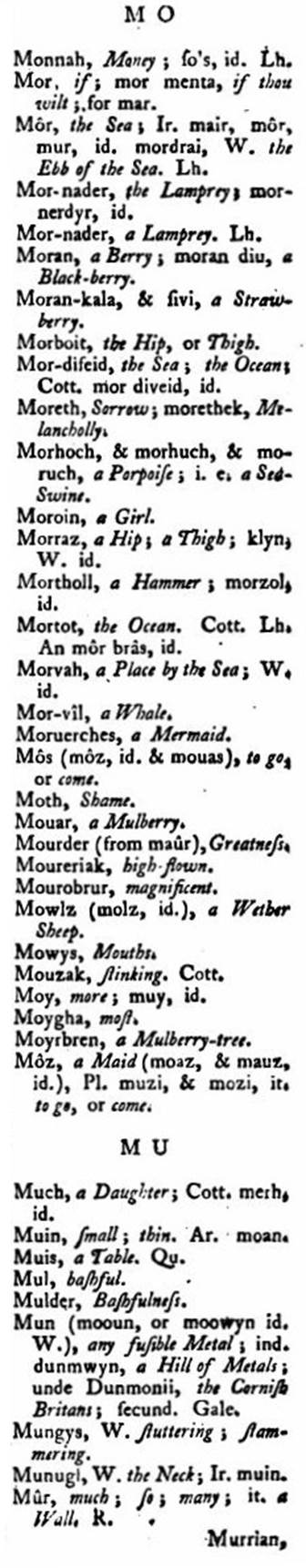 F4850_borlase_1769_antiquities-cornwall_vocabulary_446c.jpg