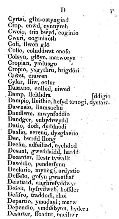 9817_geiriadur-poblogaidd_rowland-jones_1828_07.jpg