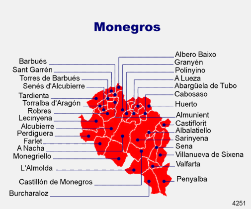 4251_170208_monegros_pentrefi